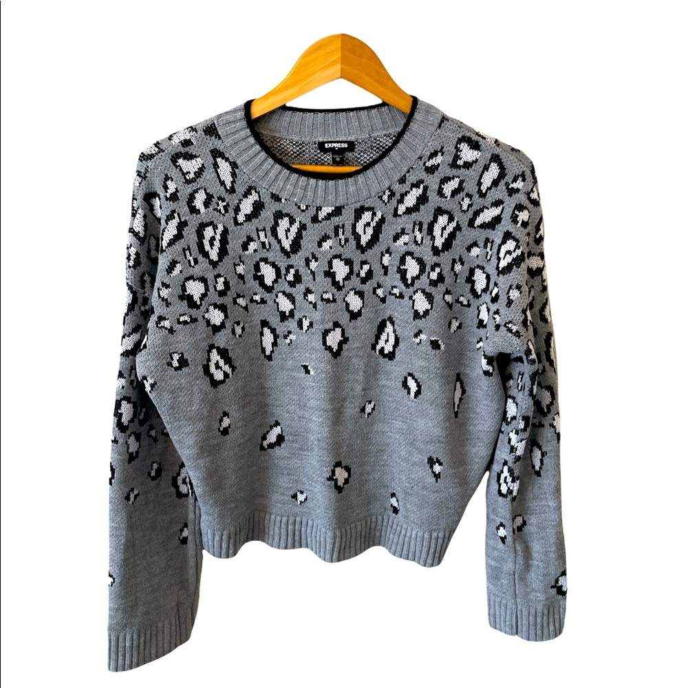 Express Crewneck Leopard Sweater